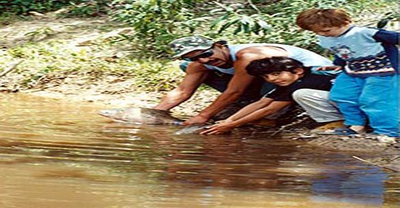 Pesca esportiva Toca das Corujas