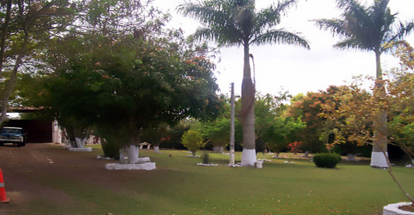 piscina toca das corujas