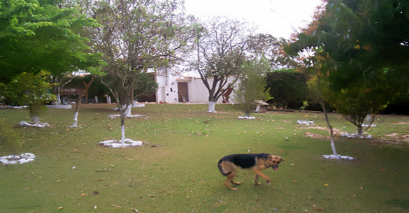piscina toca das corujas
