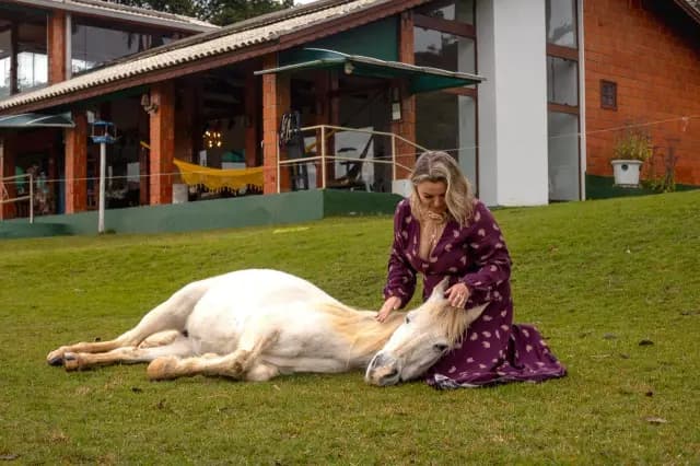 Cavalos e pôneis na Toca das Corujas
