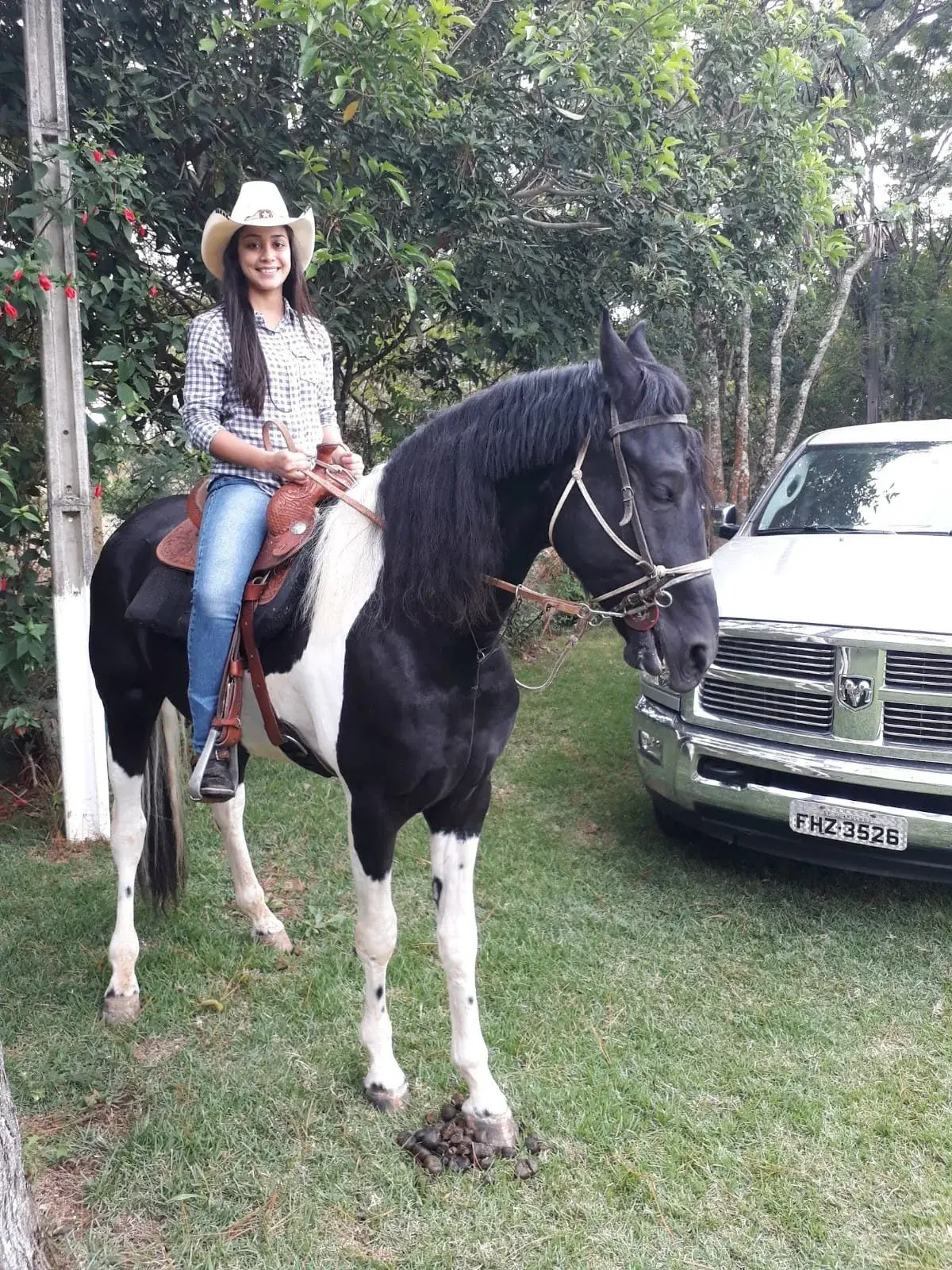 cavalo4