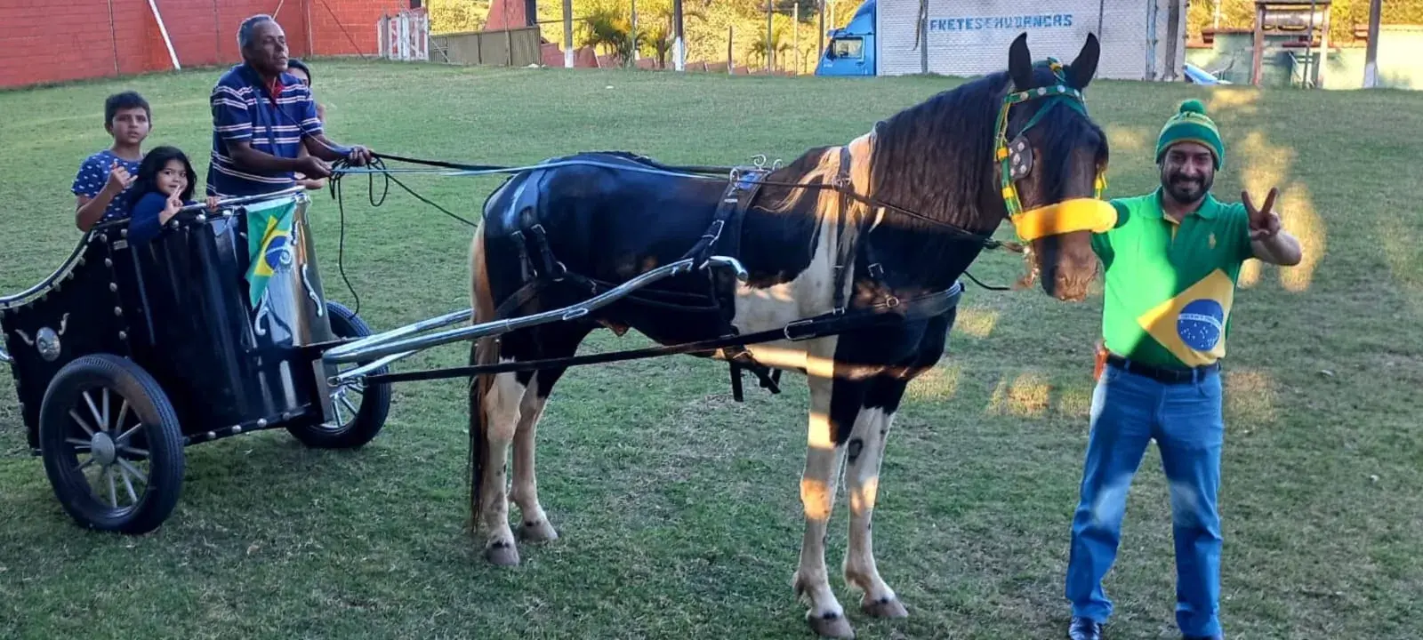 cavalo4